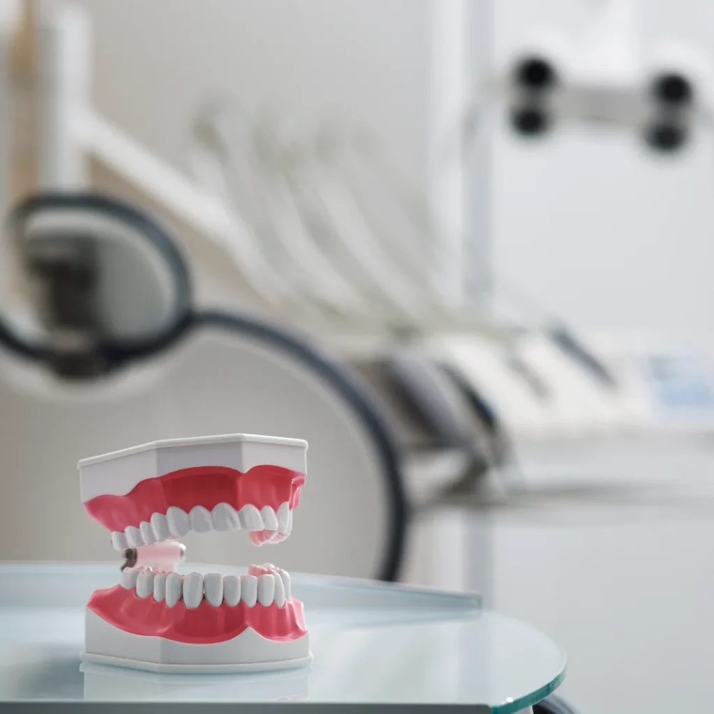 Cuánto cuesta un seguro dental en Zaragoza: modelo de dentadura sobre una mesa de cristal en una consulta