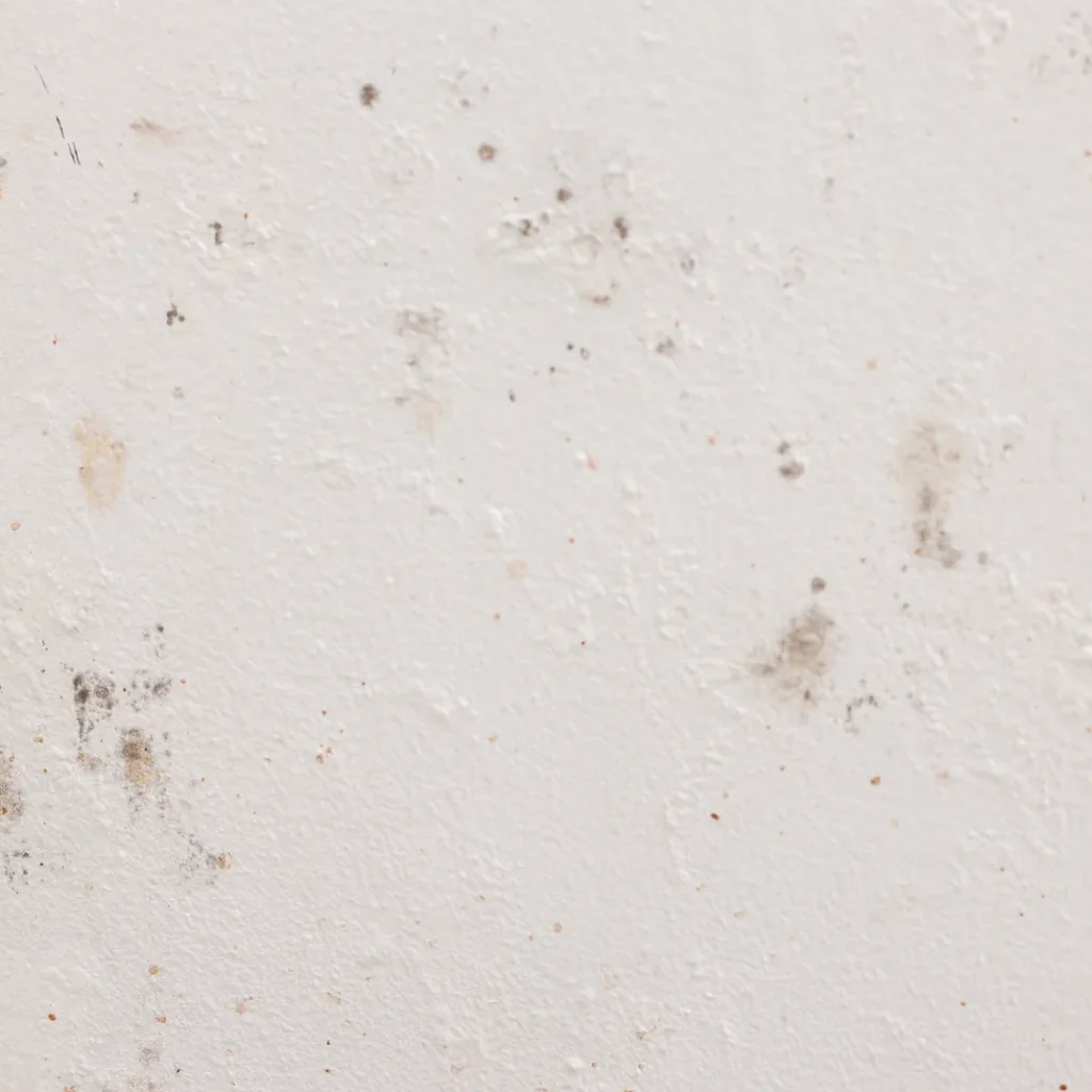 Seguro de hogar barato en Zaragoza: pared blanca con manchas de humedad y moho