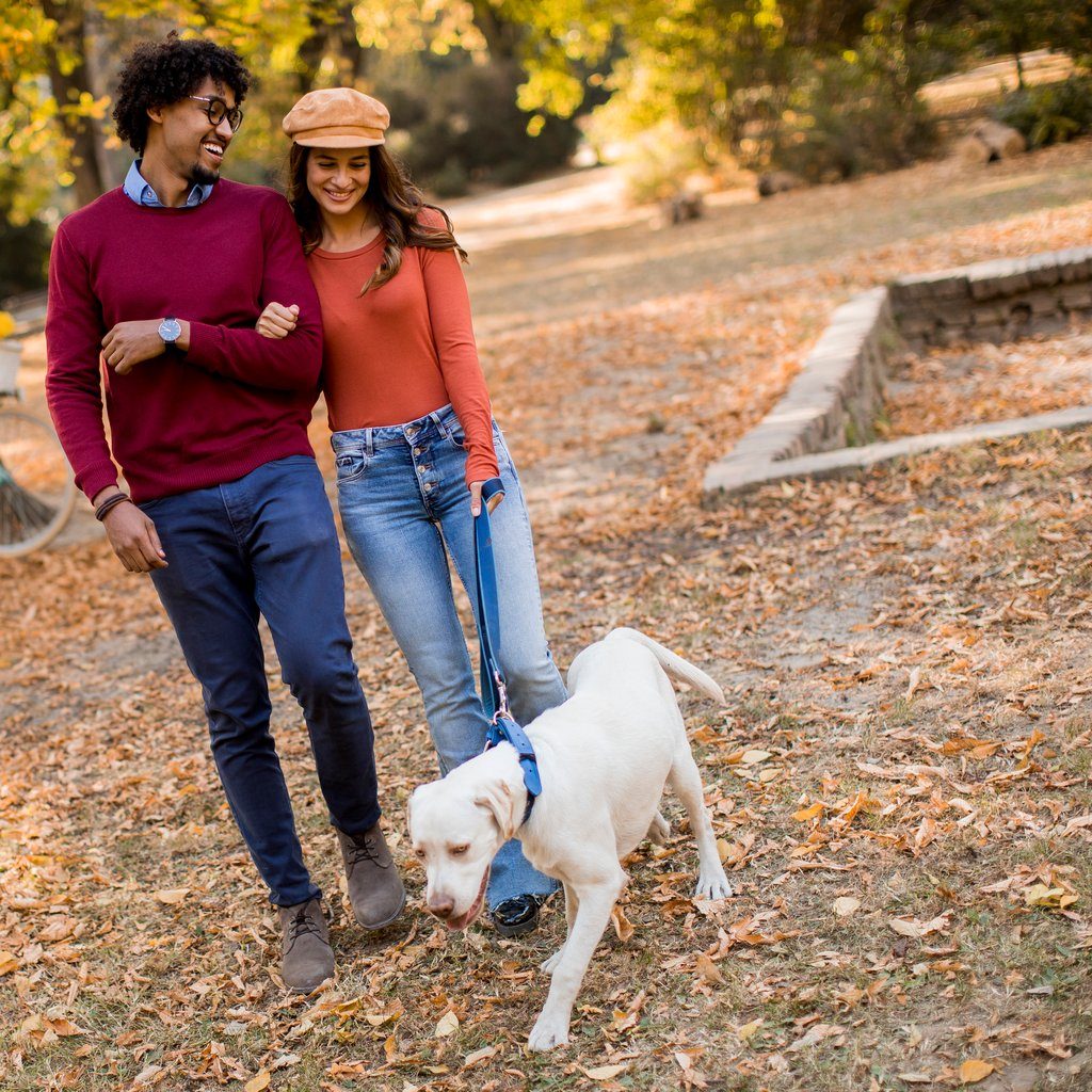 Pareja pasea a su perro blanco con correa por un parque con hojas de otoño, seguro responsabilidad civil perro Guadalajara