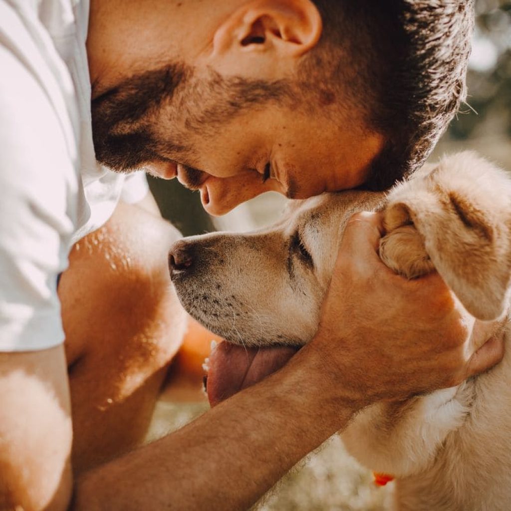 Hombre abrazando con cariño a su perro de pelo claro al aire libre, seguros para perros Soria